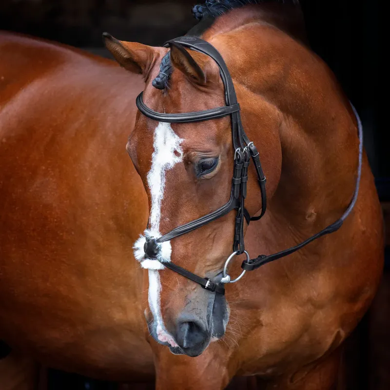 Velociti RAPIDA Grackle Noseband Black-1