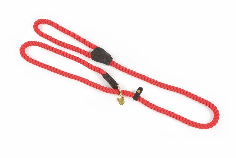Digby and Fox Rope Slip Dog Lead Red