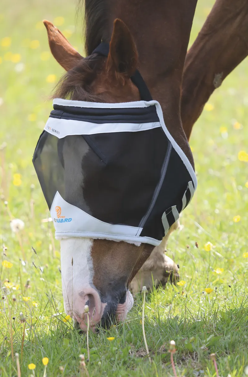FlyGuard Pro Fine Mesh Earless Fly Mask Black-1