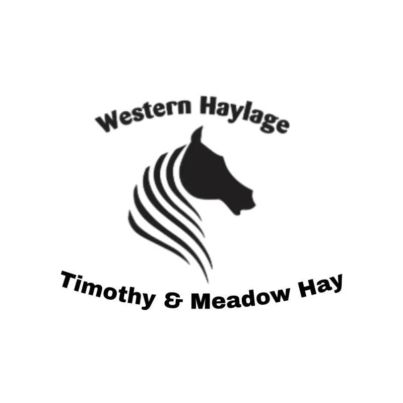 Western Timothy and Meadow Hay-1