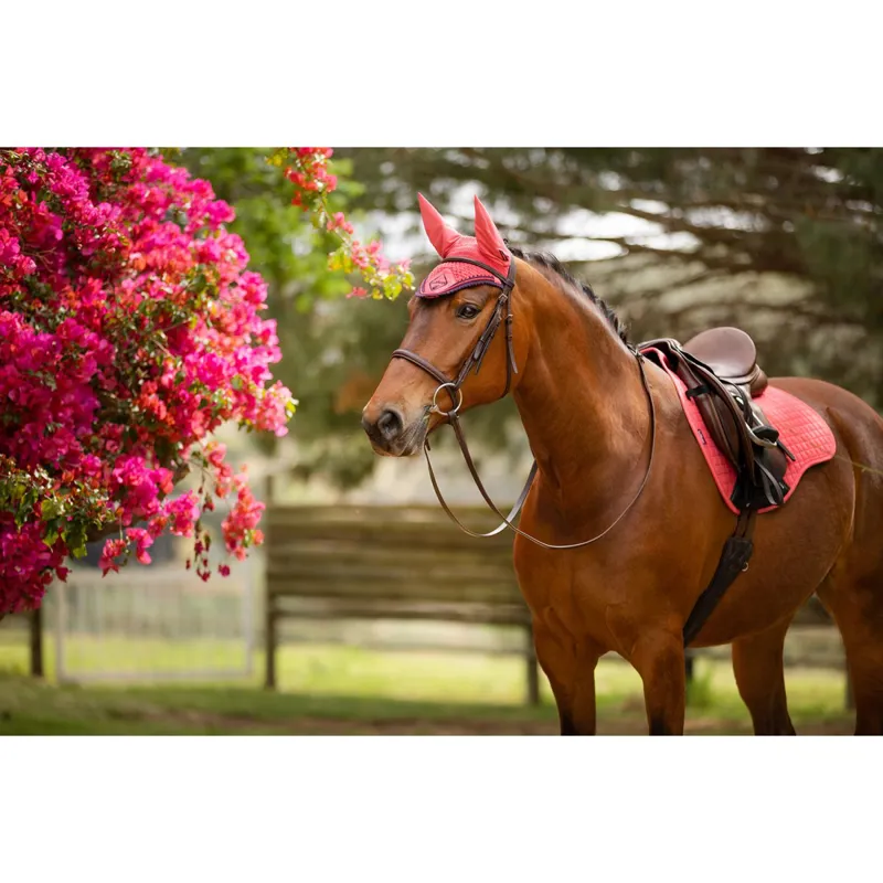 LeMieux Classic Lycra Fly Hood Papaya-2