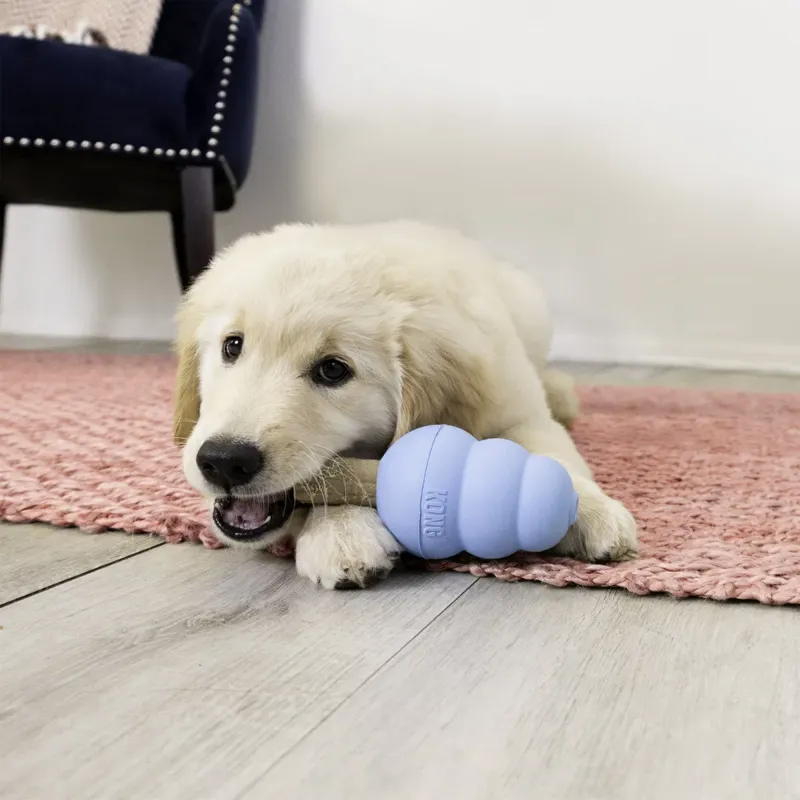 Kong Ziggies Enhanced Puppy Small 198G-3