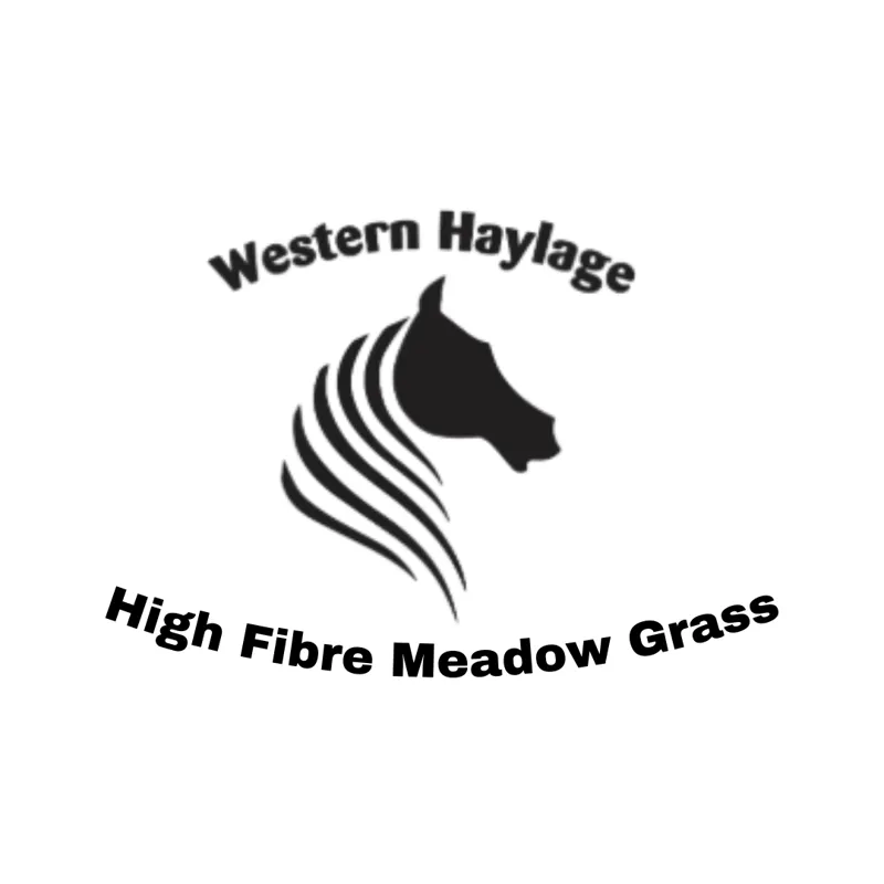 Western Haylage High Fibre Meadow Grass-1