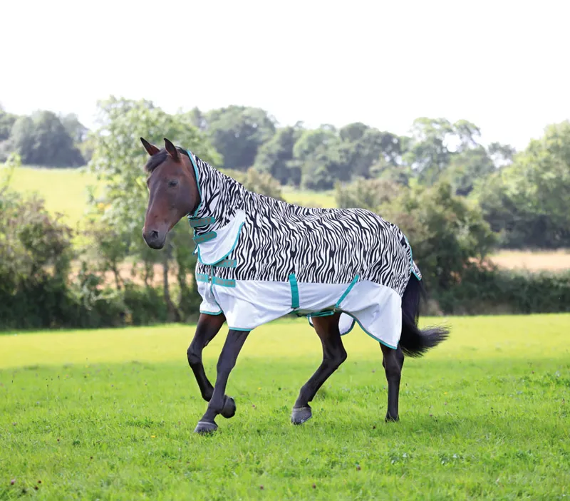 Tempest Original Zeb-Tek Fly Combo Rug Zebra Print