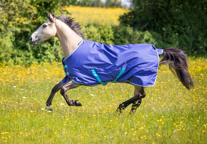 Tempest Original 100g Turnout Rug in Navy