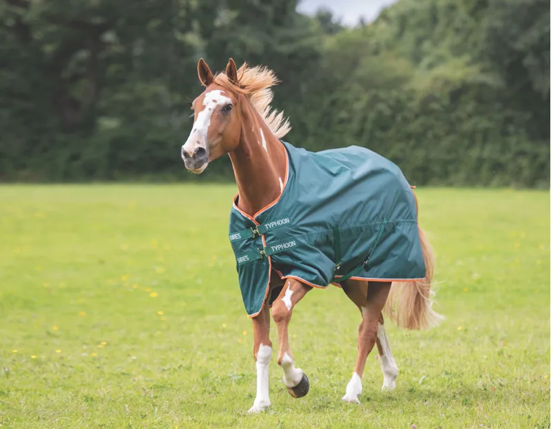 Tempest Typhoon Lite Turnout Rug Green