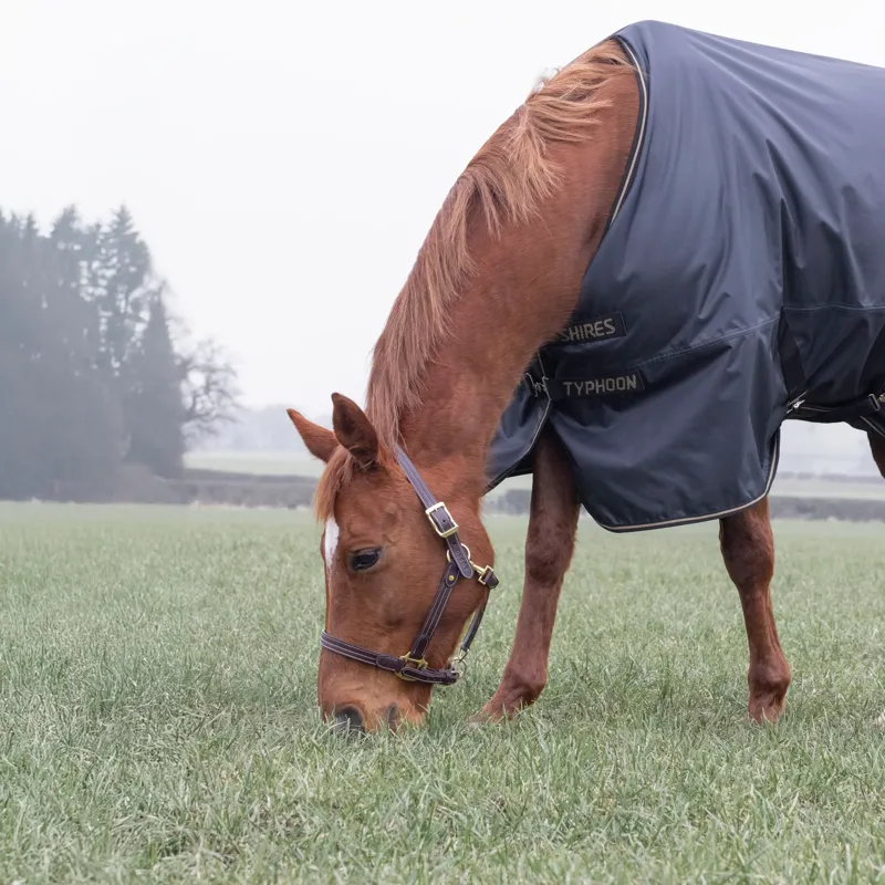 Shires Typhoon 50 Turnout Rug Black-3