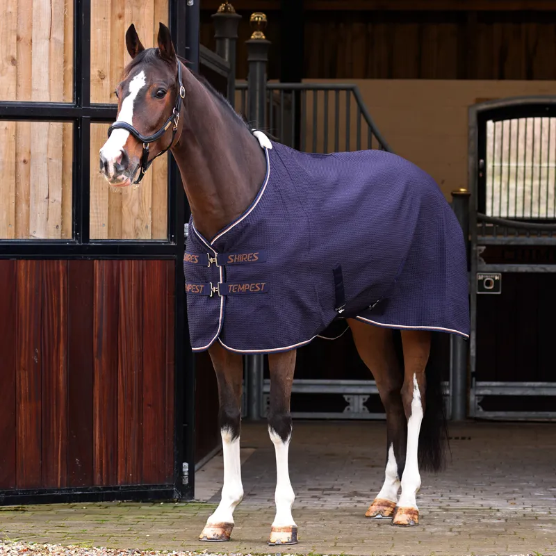 Tempest Original Waffle Rug Navy