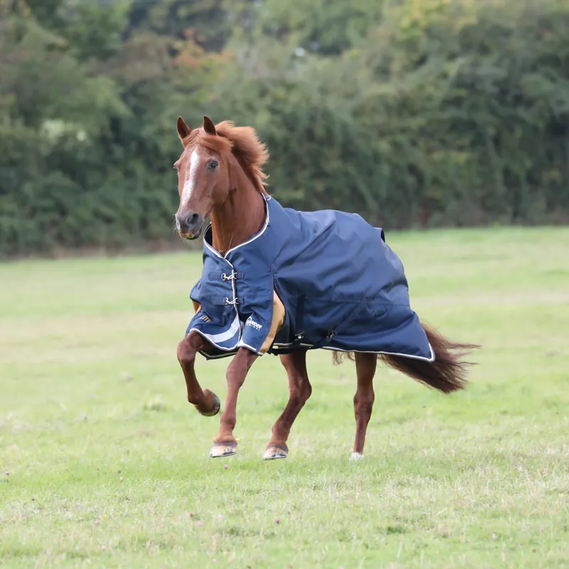 Highlander Plus Lite Turnout Rug Navy