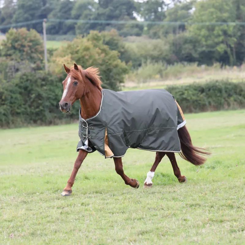 Highlander Plus 50g Turnout Rug Green