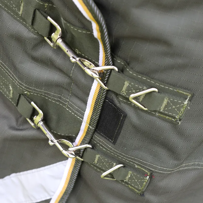 Highlander Plus 50g Turnout Rug Green-3