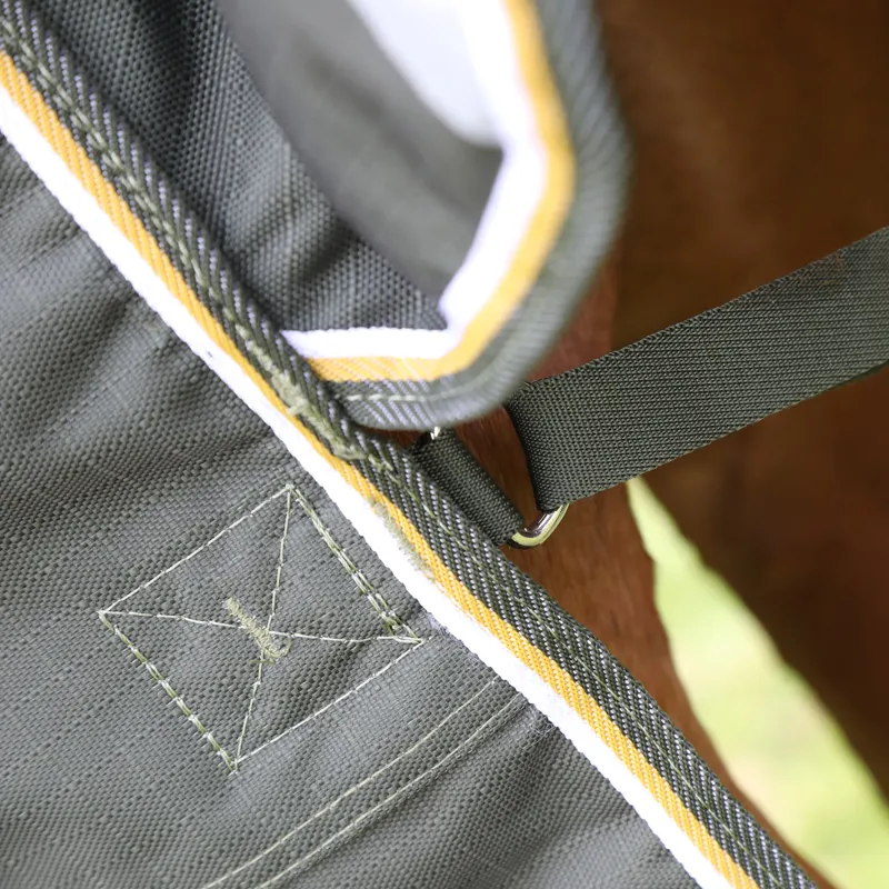 Highlander Plus 50g Turnout Rug Green-5