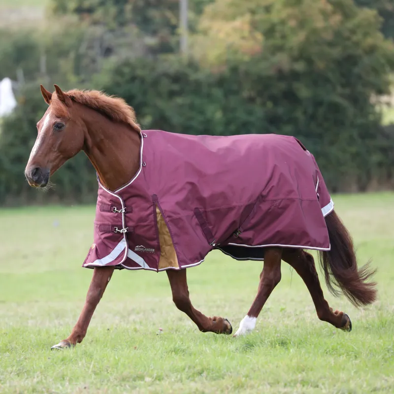 Highlander Plus 100 Turnout Rug Maroon
