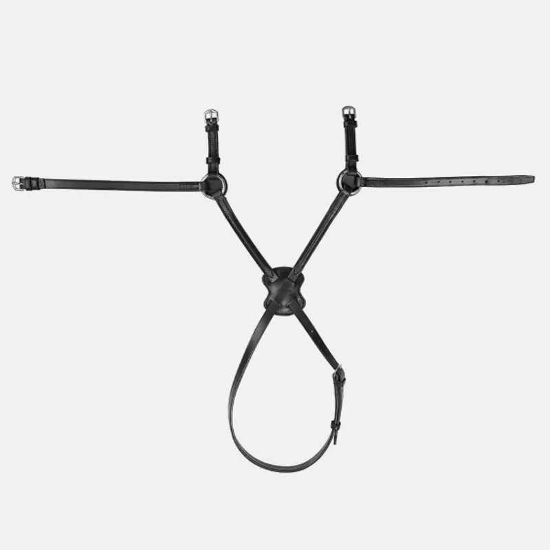 Albion Mexican Grackle Noseband Mocha Cob