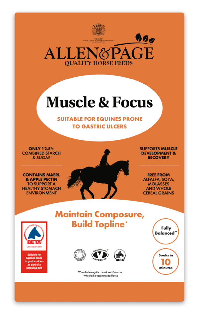 Allen and Page Muscle and Focus