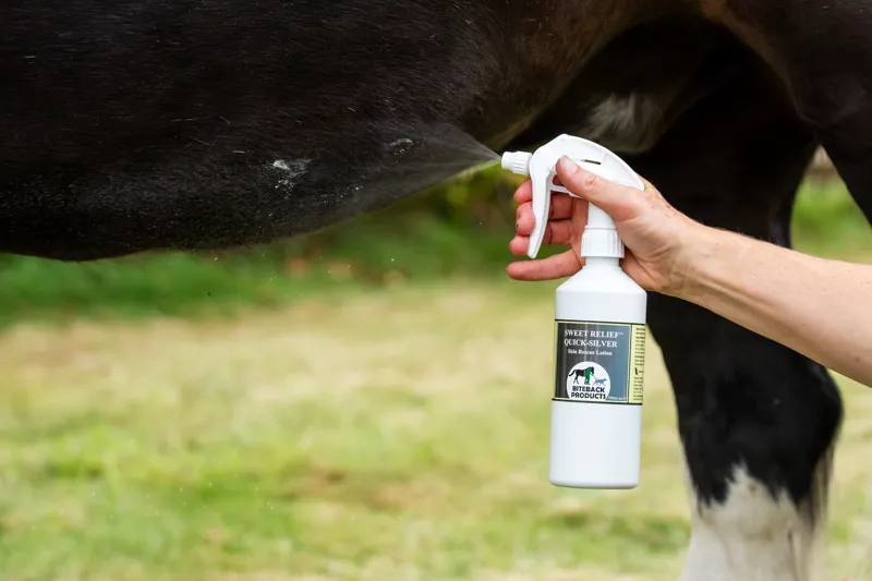 Biteback Products Sweet Relief QuickSilver Skin Rescue Lotion 500ml-3