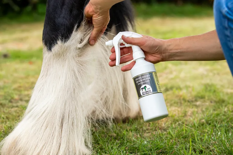 Biteback Products Sweet Relief QuickSilver Skin Rescue Lotion 500ml-2