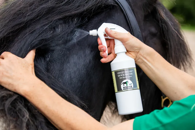 Biteback Products Flowers and Zinc Antiseptic Drying Powder 300ml-3