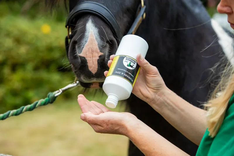 Biteback Products Flowers and Zinc Antiseptic Drying Powder 300ml-5