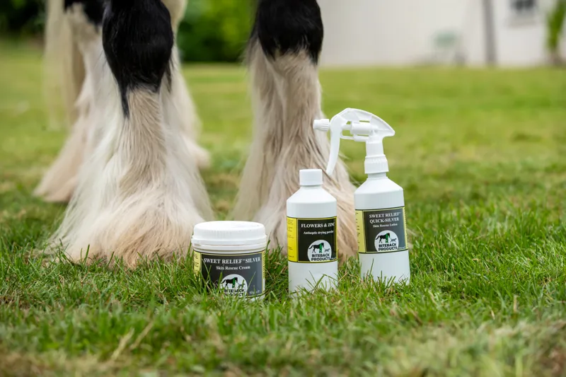 Biteback Products Flowers and Zinc Antiseptic Drying Powder 300ml-7