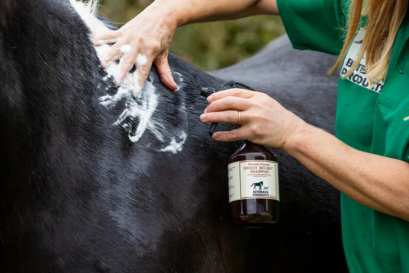 Biteback Products Sweet Relief Shampoo 500ml-2