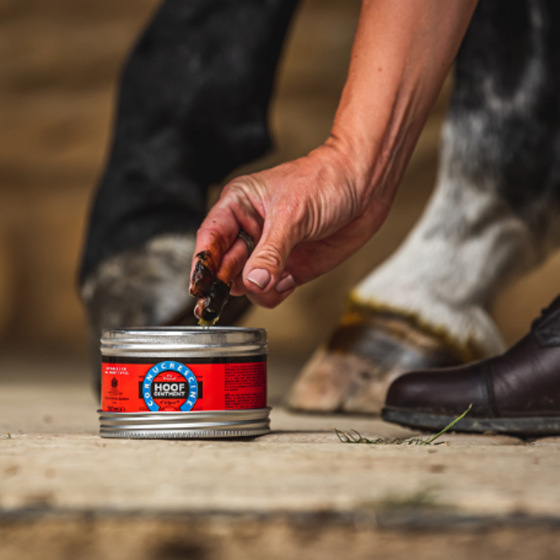Carr Day and Martin Cornucrescine Original Hoof Ointment 250ml