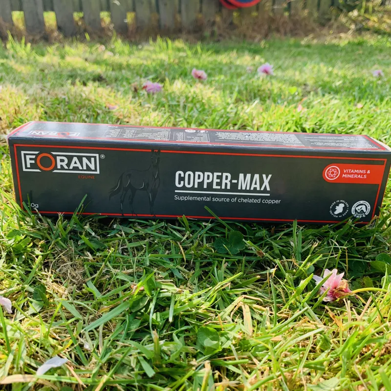 Foran Equine Copper Max Paste 30G-2
