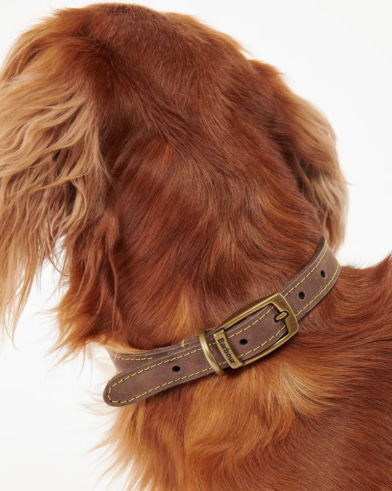 Barbour Leather Dog Collar Brown-3