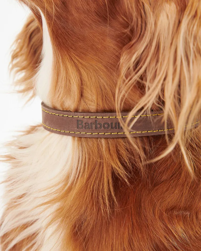 Barbour Leather Dog Collar Brown-4