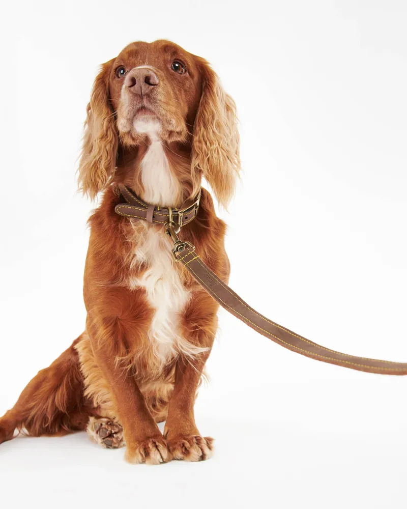 Barbour Leather Dog Collar Brown-6