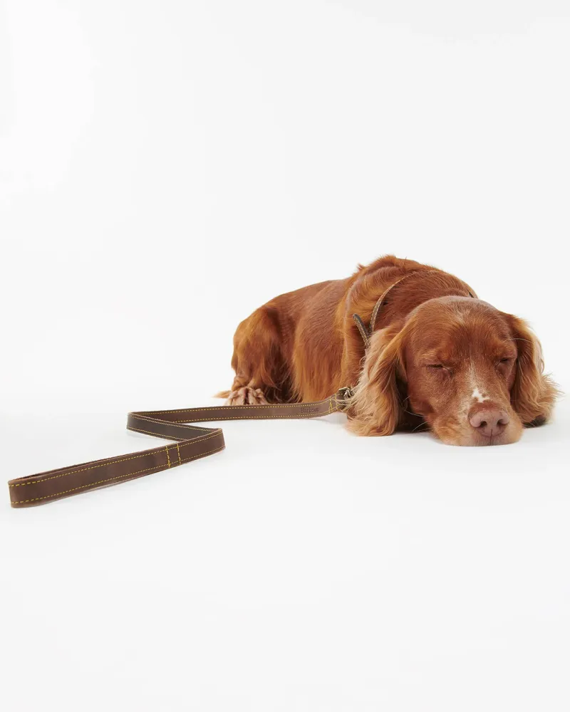 Barbour Leather Dog Lead Brown-2
