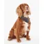 Barbour Dog Bandana Classic Tartan