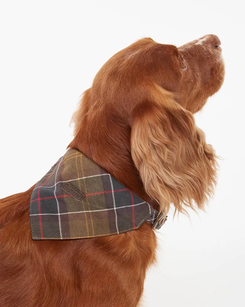 Barbour Dog Bandana Classic Tartan-1