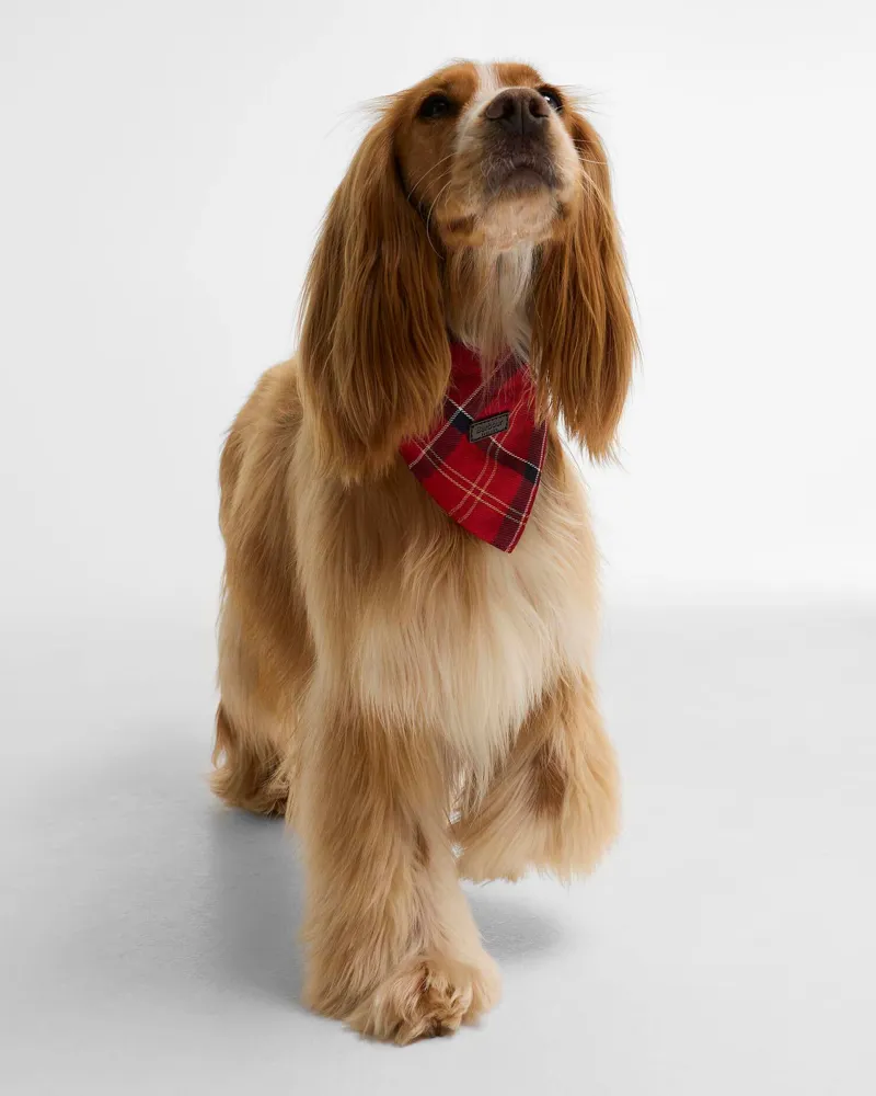 Barbour Dog Bandana in Cardinal Tartan-2