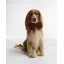 Barbour Dog Bow Tie in Cardinal Tartan