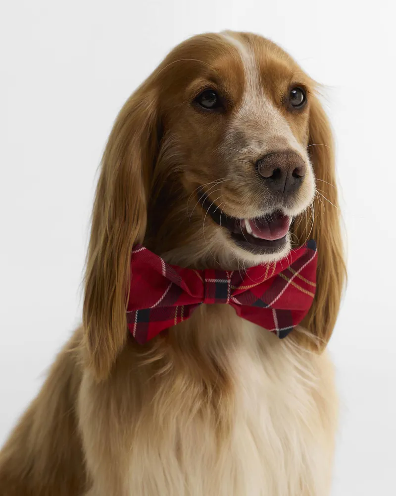 Barbour Dog Bow Tie in Cardinal Tartan-1