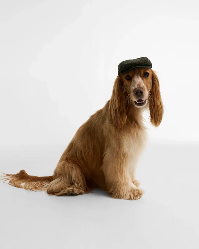 Barbour Wilkin Dog Flat Cap in Olive-1