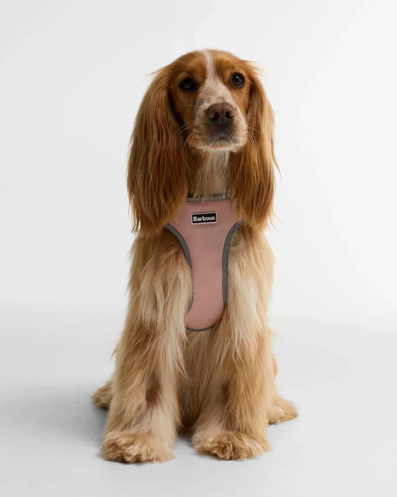 Barbour Evie Dog Harness in Gardenia Pink