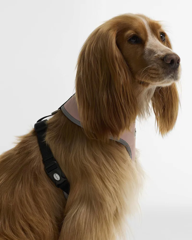 Barbour Evie Dog Harness in Gardenia Pink-1