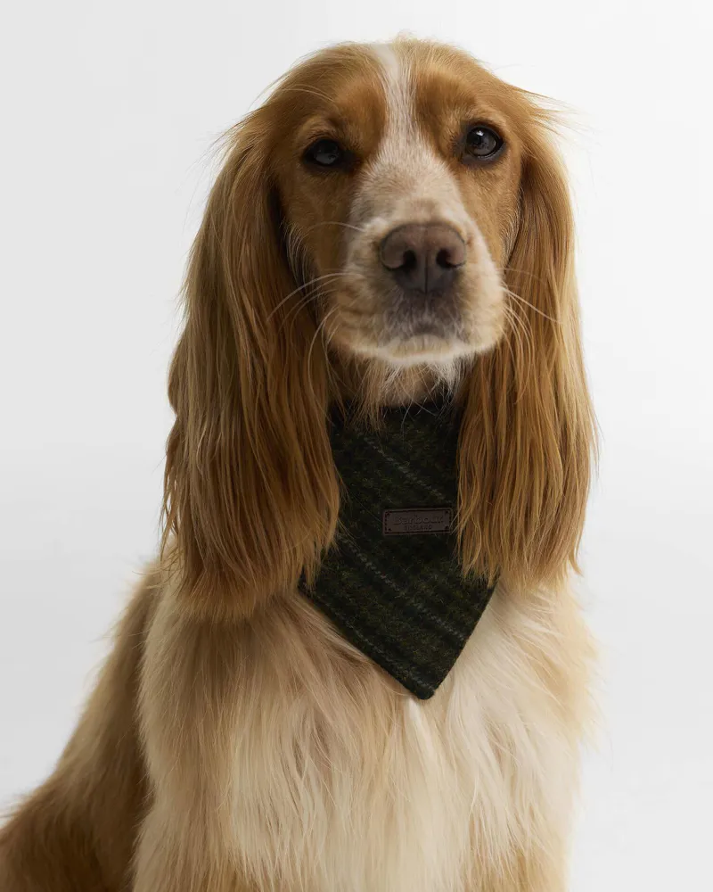 Barbour Wilkin Dog Bandana in Olive Check-1
