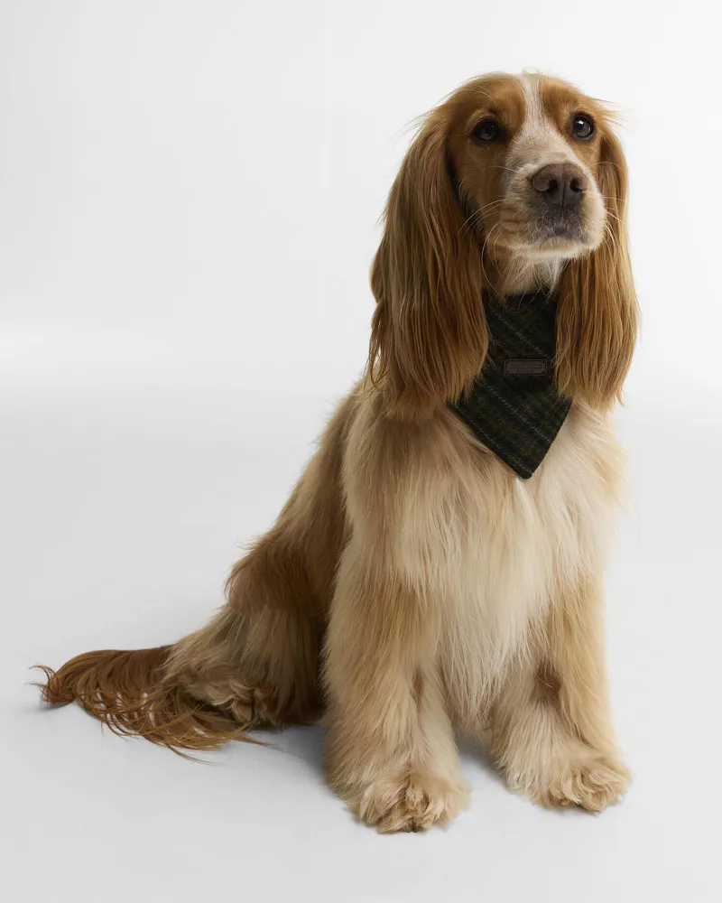 Barbour Wilkin Dog Bandana in Olive Check-3
