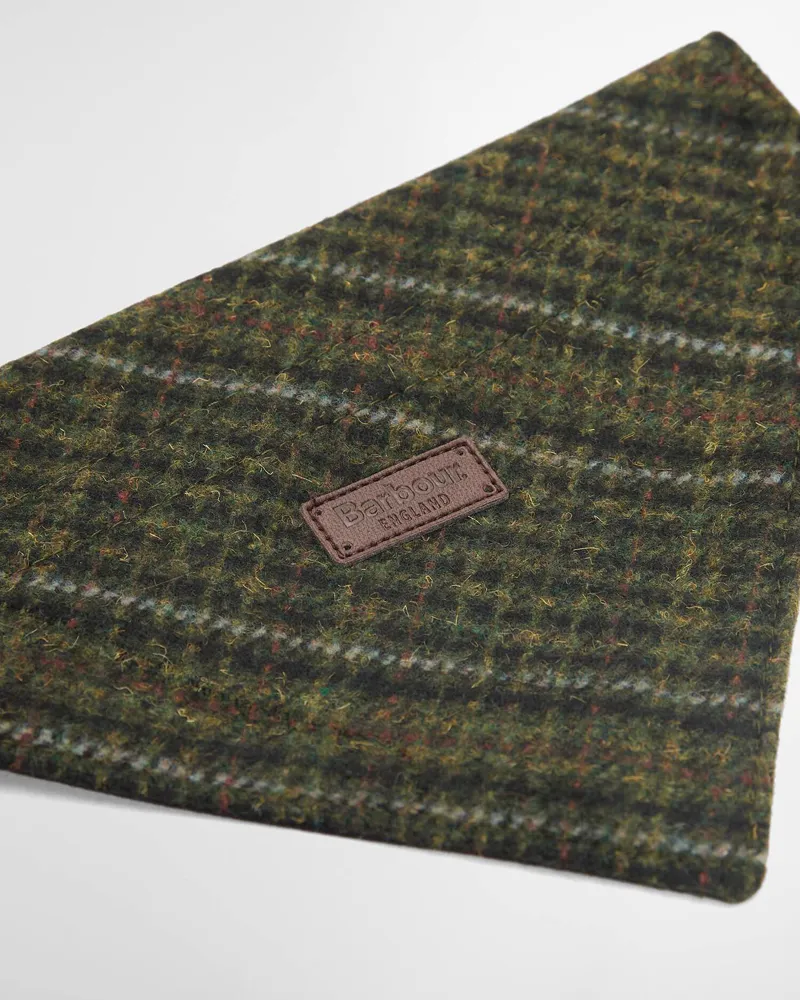 Barbour Wilkin Dog Bandana in Olive Check-6