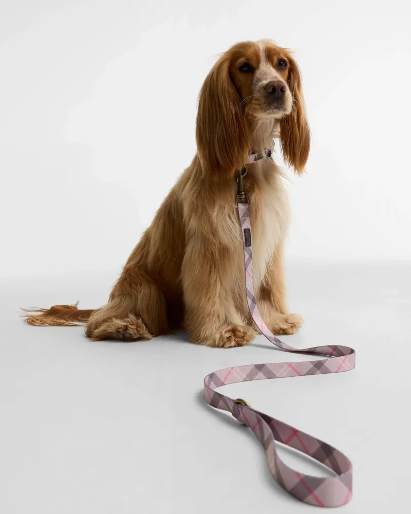 Barbour Tartan Printed Dog Collar in Pink-3