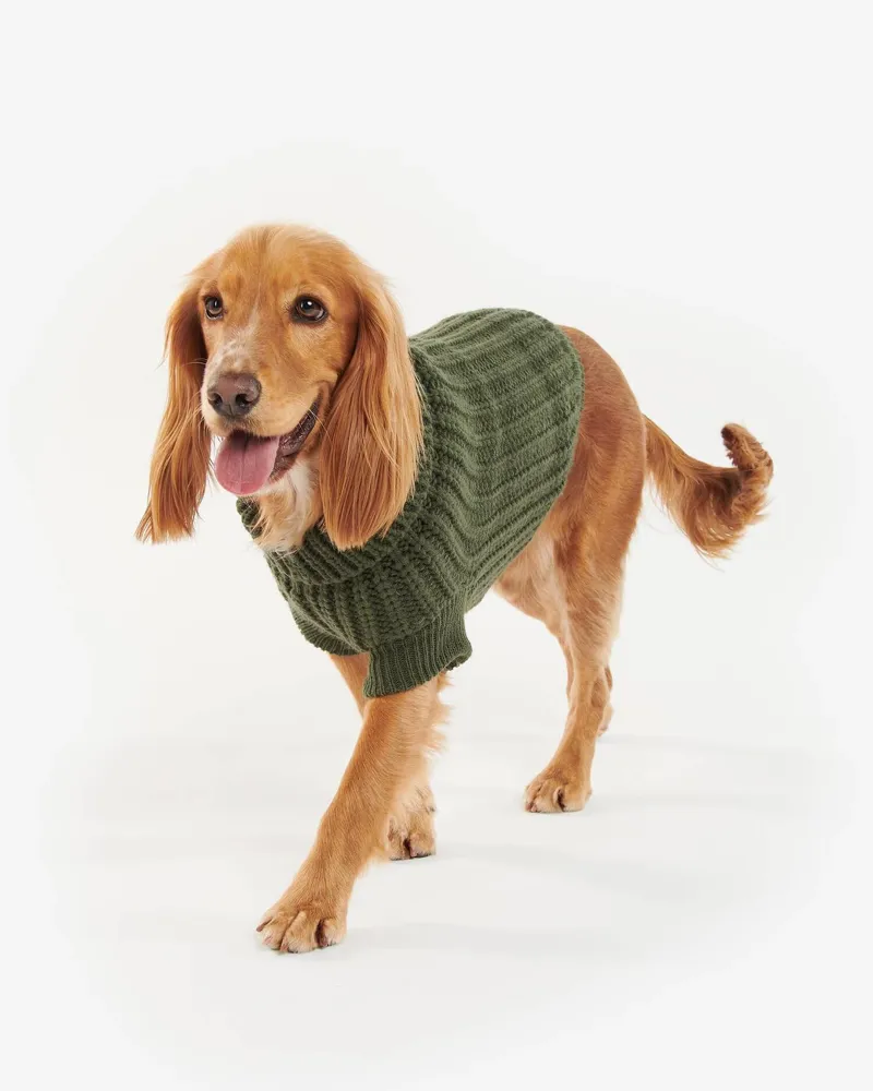 Barbour Saltburn Dog Jumper Olive-1