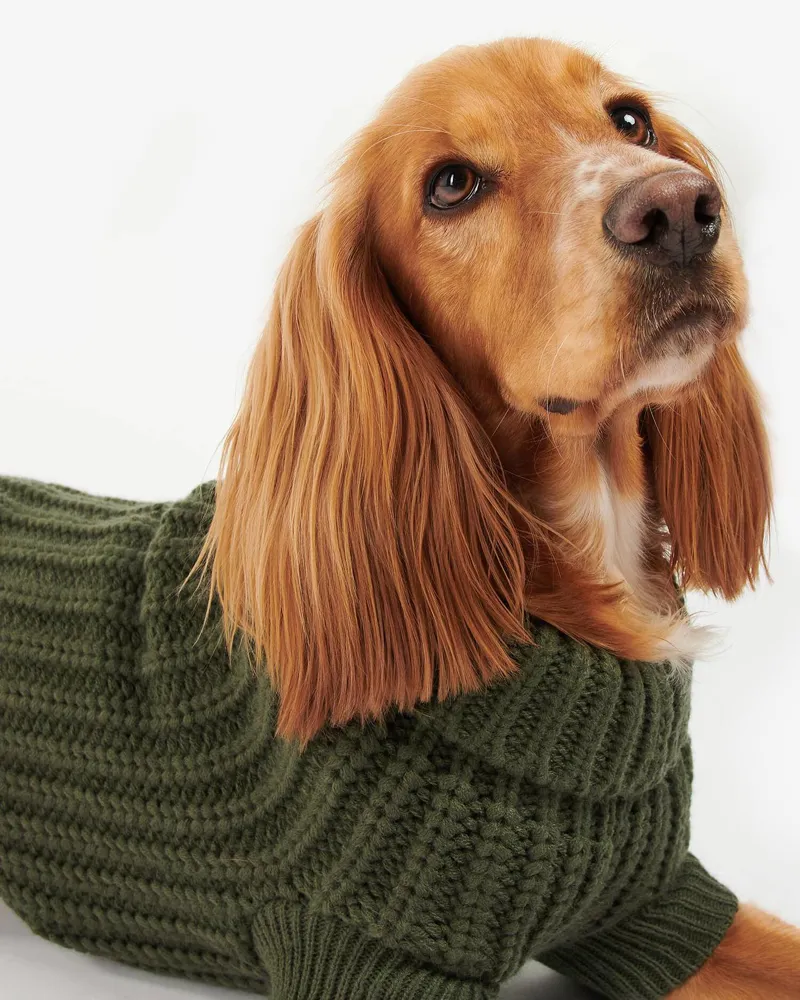 Barbour Saltburn Dog Jumper Olive-2