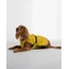 Barbour Evie Waterproof Dog Coat in Limeade