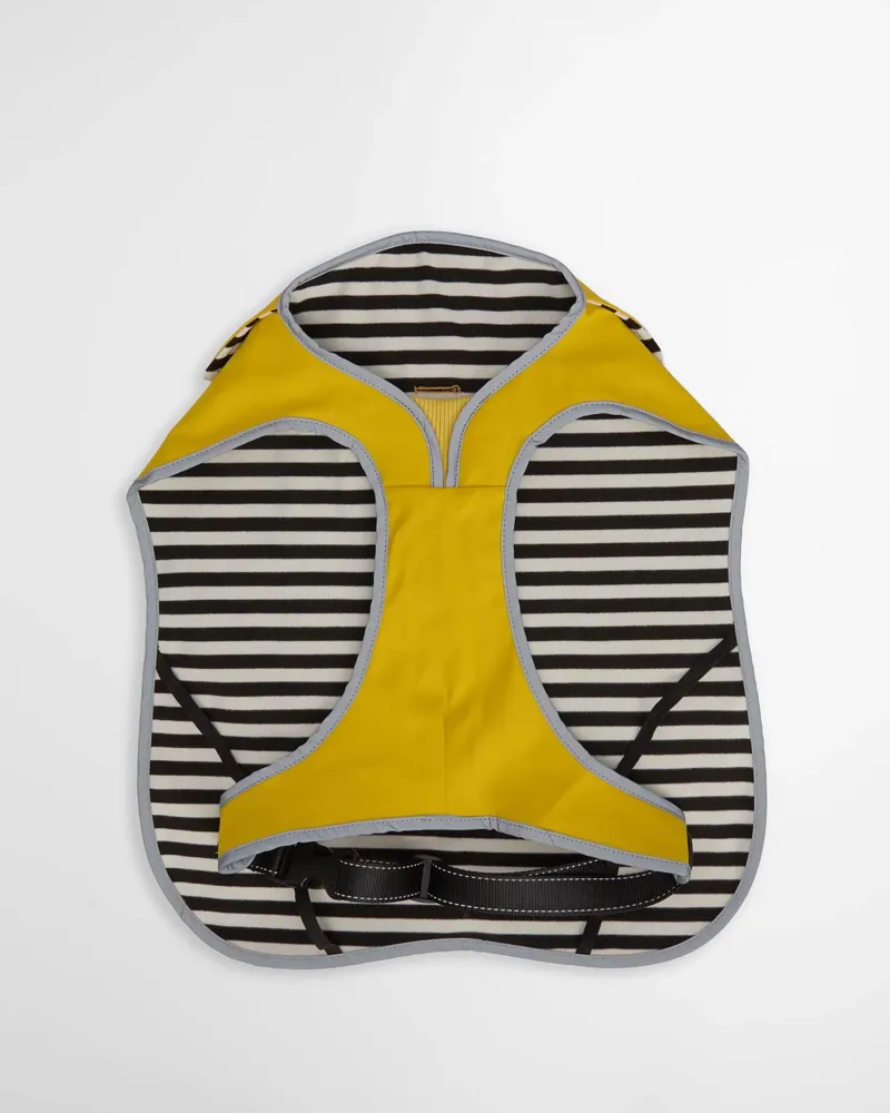Barbour Evie Waterproof Dog Coat in Limeade-1