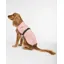  Barbour Evie Waterproof Dog Coat in Gardenia Pink