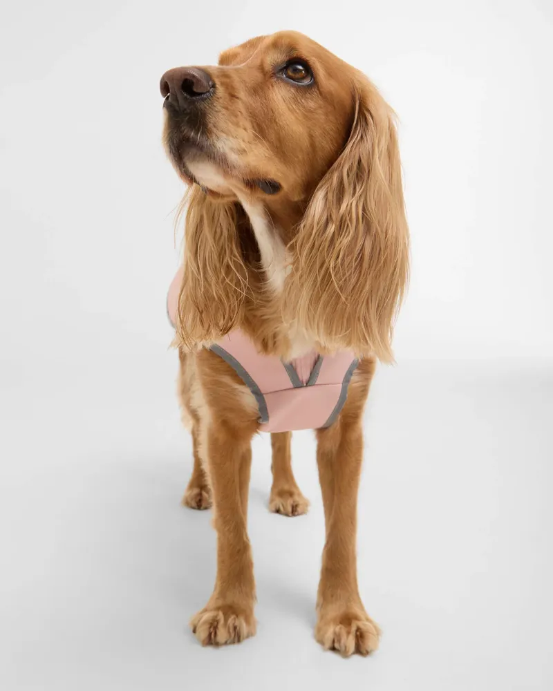  Barbour Evie Waterproof Dog Coat in Gardenia Pink-1