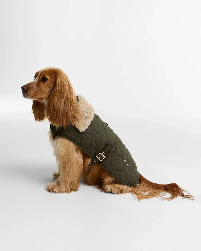 Barbour Beith Quilted Dog Coat Olive-1